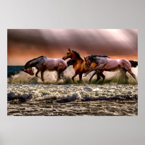Wild horses poster
