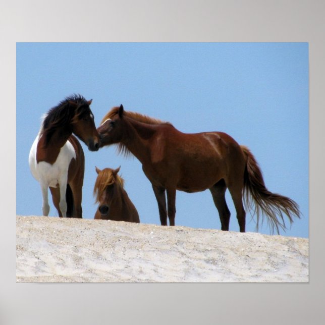 Wild Horses Poster (Front)