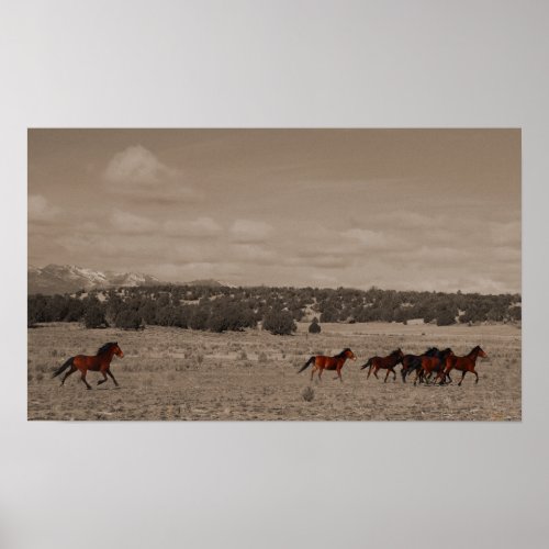 Wild Horses Poster