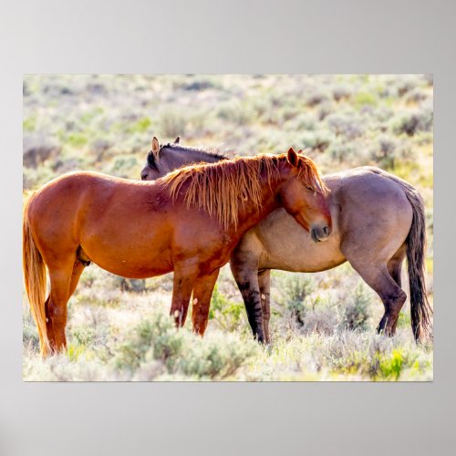 Wild Horses Poster