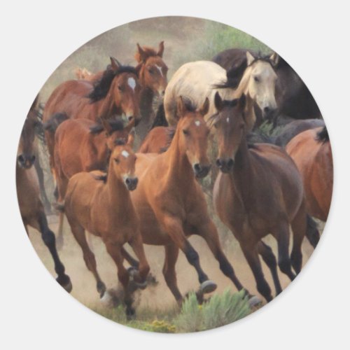 Wild Horses Roundup Classic Round Sticker