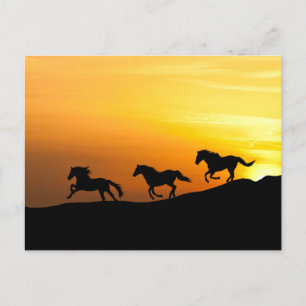 Wild Horses running at Sunset- Horse Lover Designs Postcard