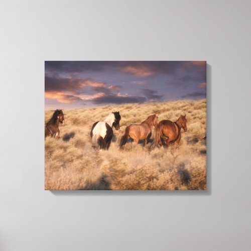 Wild Horses Running Canvas Print