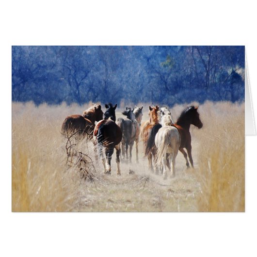 Wild horses running cards (Front Horizontal)