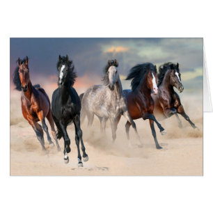 Wild Horses Running Free Cards
