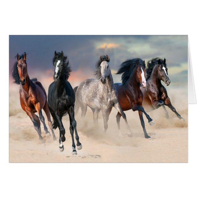 Wild Horses Running Free Cards (Front Horizontal)