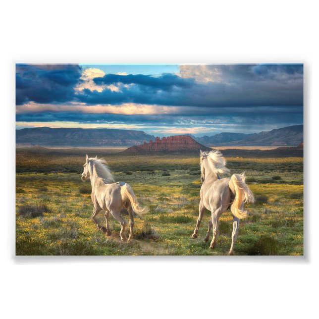 WILD HORSES RUNNING “Live to Run” Photo Print (Front)