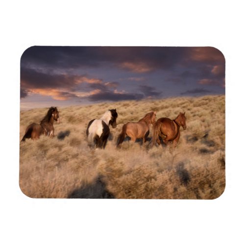 Wild Horses Running Magnet