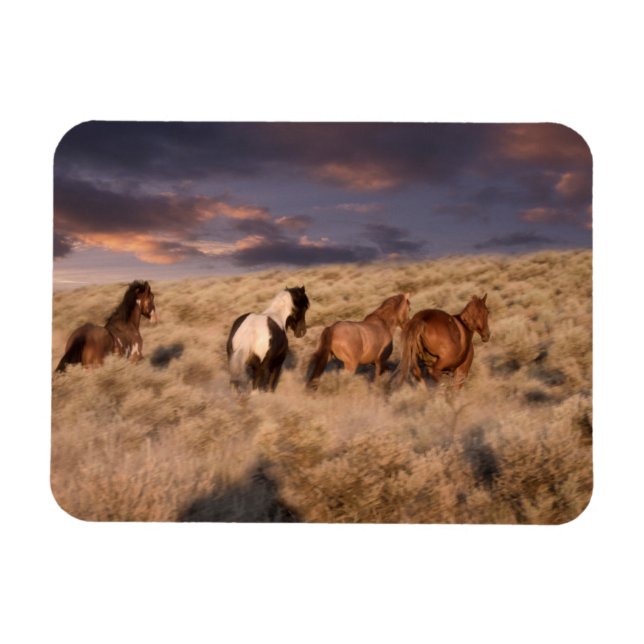 Wild Horses Running Magnet (Horizontal)
