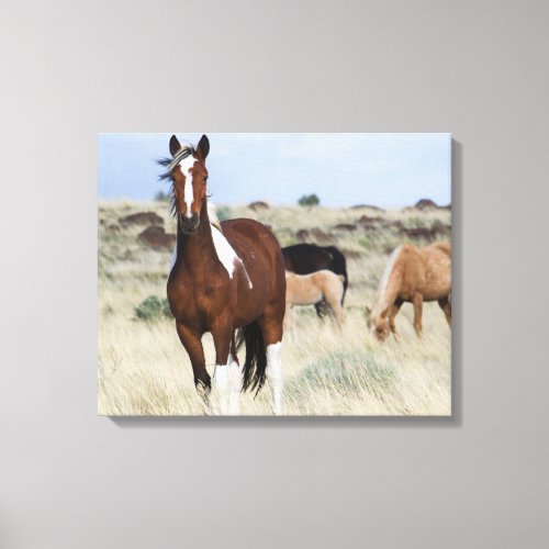 Wild Horses Steens Mountains Canvas Print
