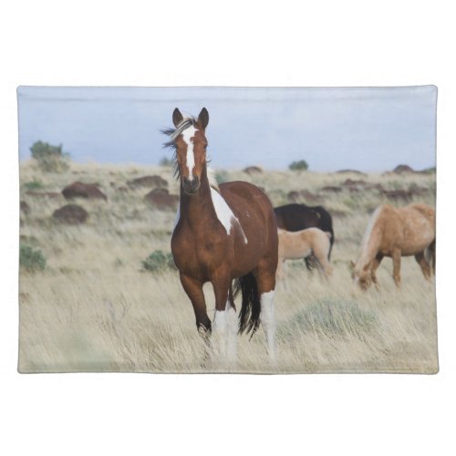 Wild Horses Steens Mountains Cloth Placemat