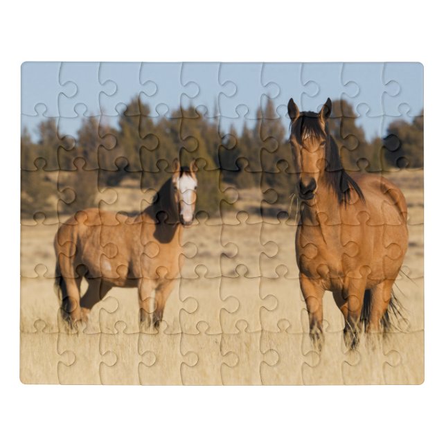 Wild Horses, Steens Mountains Jigsaw Puzzle (Puzzle Horizontal)