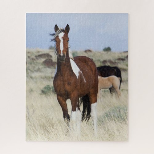 Wild Horses Steens Mountains Jigsaw Puzzle
