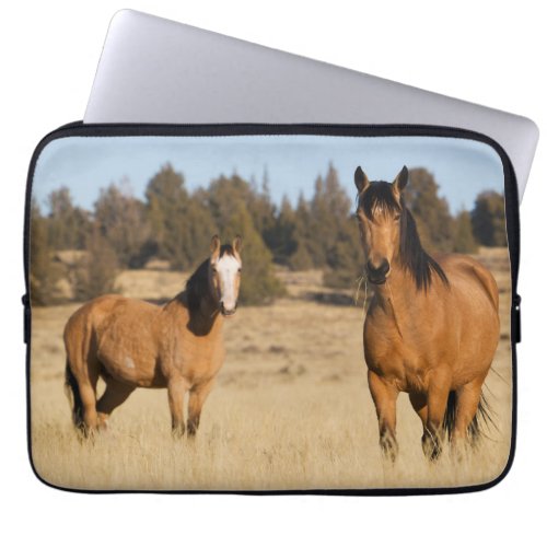 Wild Horses Steens Mountains Laptop Sleeve