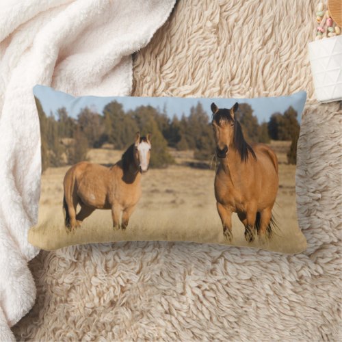 Wild Horses Steens Mountains Lumbar Pillow