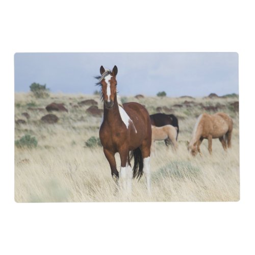 Wild Horses Steens Mountains Placemat
