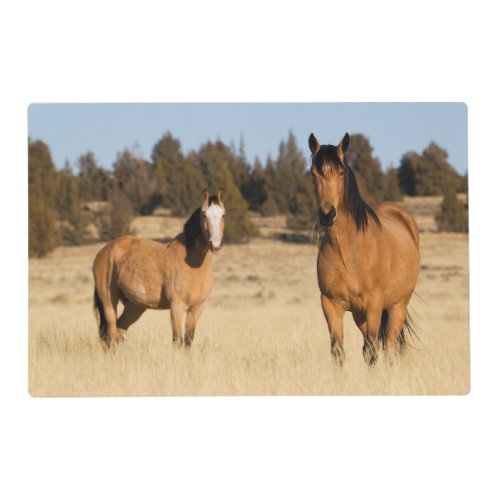 Wild Horses Steens Mountains Placemat
