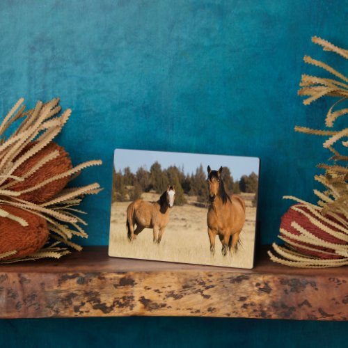 Wild Horses Steens Mountains Plaque