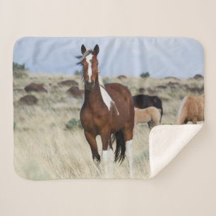 Wild Horses, Steens Mountains Sherpa Blanket