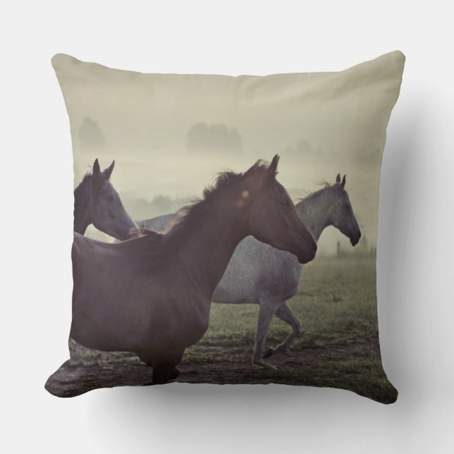 Wild horses throw pillow (Front)