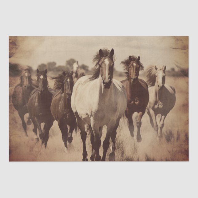 Wild Horses Tissue Paper (Front)