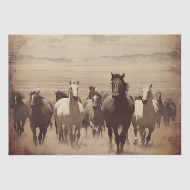 Wild Horses Tissue Paper (Front)