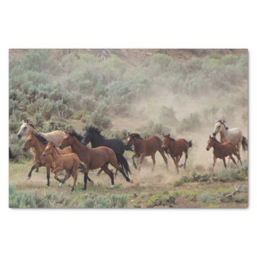 Wild Horses Tissue Paper