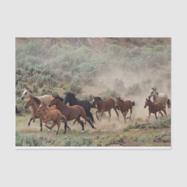 Wild Horses Tissue Paper (Front)