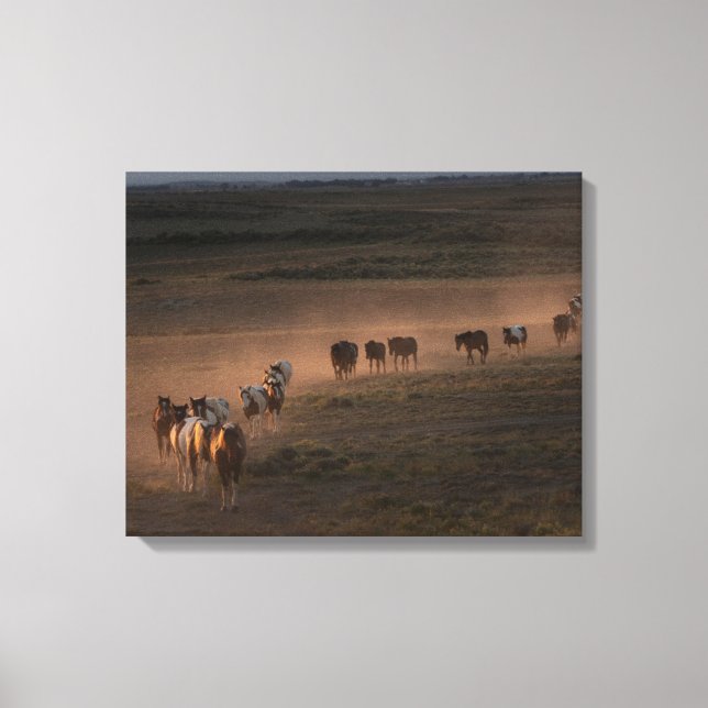 Wild Horses Walking Towards Desert Canvas Print (Front)