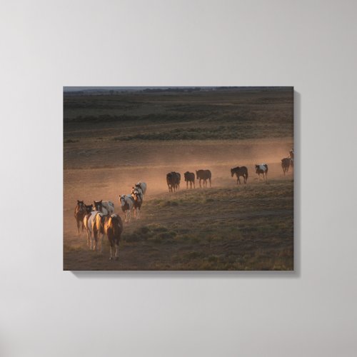 Wild Horses Walking Towards Desert Canvas Print