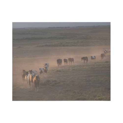Wild Horses Walking Towards Desert Gallery Wrap