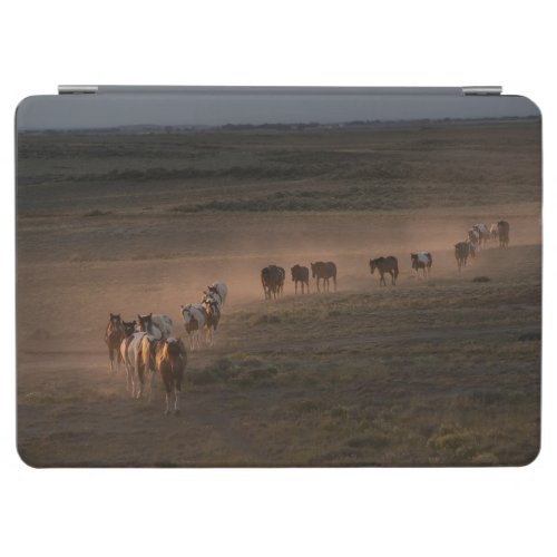 Wild Horses Walking Towards Desert iPad Air Cover