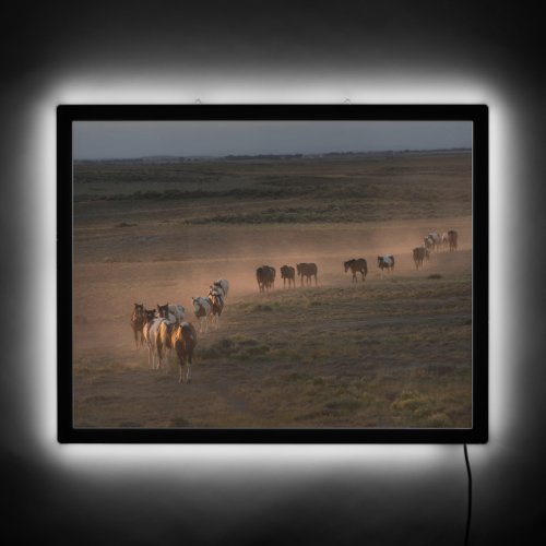 Wild Horses Walking Towards Desert LED Sign