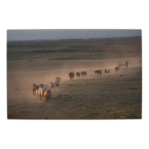 Wild Horses Walking Towards Desert Metal Print