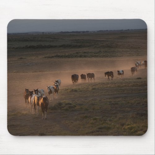 Wild Horses Walking Towards Desert Mouse Pad