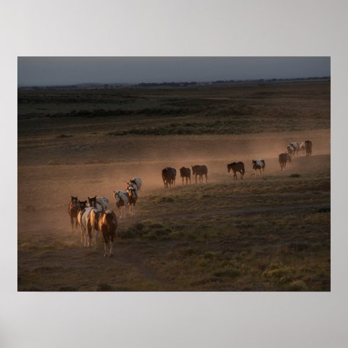 Wild Horses Walking Towards Desert Poster