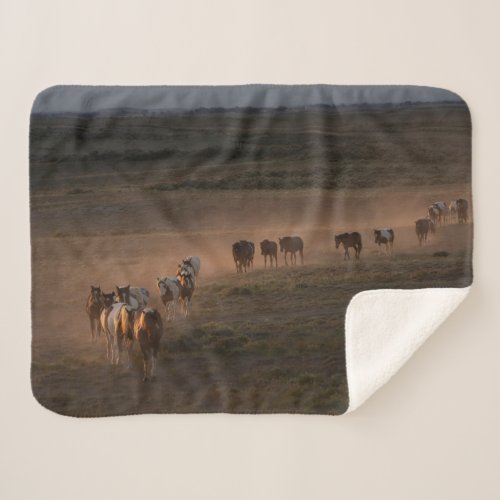 Wild Horses Walking Towards Desert Sherpa Blanket