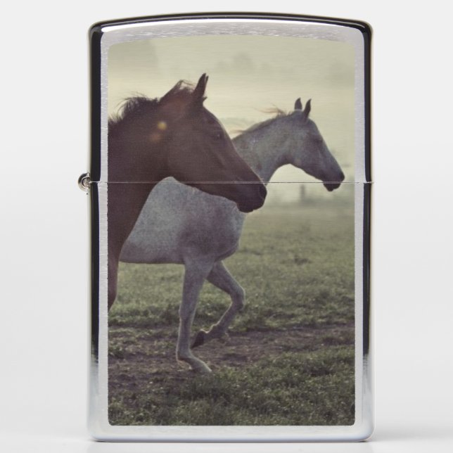 Wild horses zippo lighter (Front)
