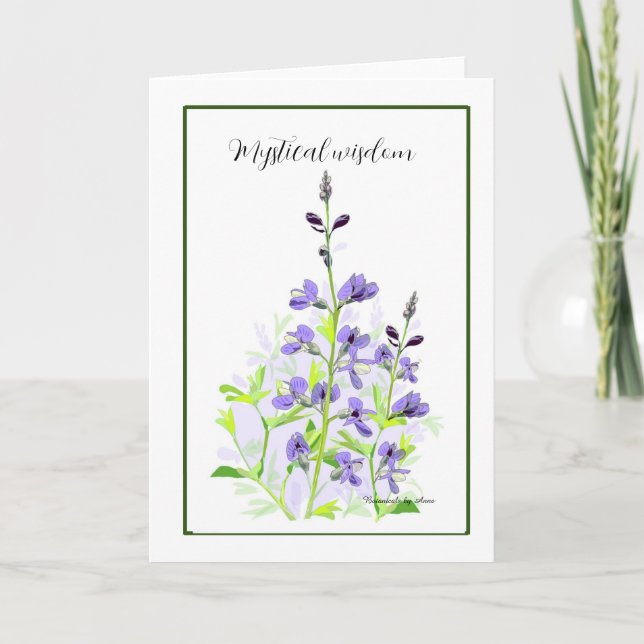 Wild Indigo card (Front)