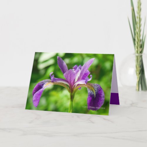 Wild Iris Bloom Card