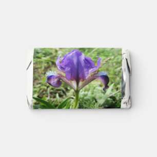 Wild Iris Hershey's Miniatures