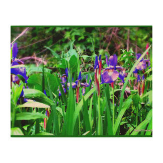 Wild Iris Wood Wall Decor