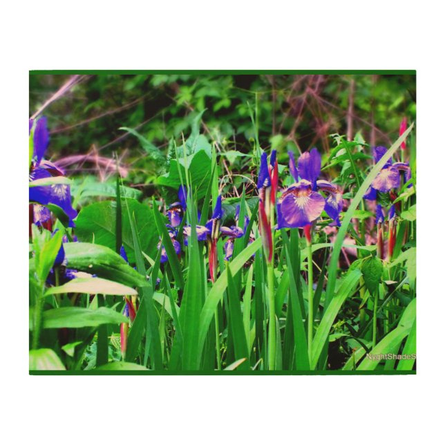 Wild Iris Wood Wall Decor (Front)