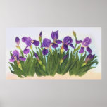 Wild Irises Poster
