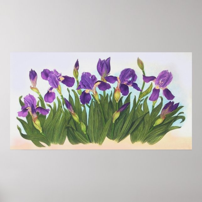 Wild Irises Poster (Front)