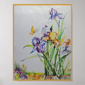 Wild Irises Small n Lovely Poster