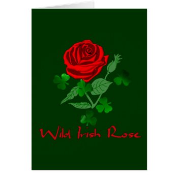 Wild Irish Rose by orsobear at Zazzle