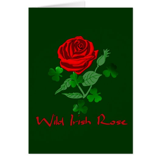 Wild Irish Rose Cards (Front)