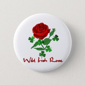 Wild Irish Rose Pinback Button by orsobear at Zazzle