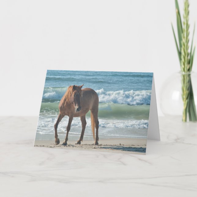 Wild island horse of Assateague note card (Front)